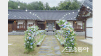 영주 선비문화테마파크, ‘스몰 웨딩존’ 감성 웨딩 명소로 부상