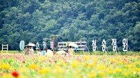 ‘산소카페 청송정원’, 전국 최대 백일홍 정원으로 자리매김