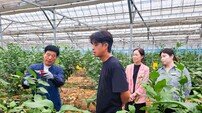 장성군 고품질 ‘장성 레몬’ 생산 박차