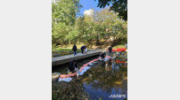 인천 남동구, 장수천 수질오염사고 대응 역량 강화…방제 훈련 실시