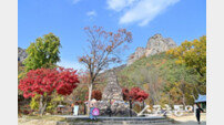 청송 주왕산, 가을 단풍 절정…관광객 맞이 준비 한창