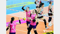 [SD 리뷰 in 인천] 흥국생명, 자네테 빠진 정관장에 3-0 완승…레베카 21점 활약으로 5위 도약