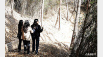 함평군, 확 바뀐 ‘기산봉’…사계절 명소 재탄생