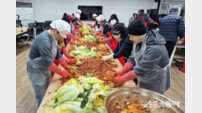 옹진군, 자월면에서 취약계층 위한 ‘사랑의 김장 나눔’ 진행