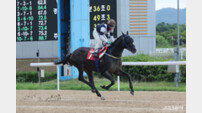 한국경마의 절대왕을 가려라! 렛츠런파크 서울, 제43회 그랑프리(G1) 개최