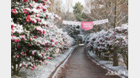 신안군, 1004섬 분재공원서 ‘섬 겨울꽃 축제’ 개최