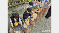인천 연수구, 자연 속에서 배우는 목재 체험’l…유아·어린이들 정서 발달 지원