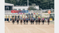 인공지능(AI)으로 만나보는 ‘올해의 한국경마 10대 키워드’