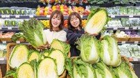 현대백화점 “‘아삭갓배추’ 맛보세요”
