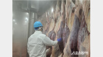 인천시, 설 명절 앞두고 도축장 조기 개장…축산물 수급 안정 총력