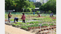 남동 실버농장, 어르신 건강한 노후 위한 도시농업 체험 공간 조성