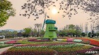 순천시, ‘전국 첫 튤립 개화’ 순천만국가정원 100만 본 튤립 만개