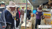 “도시 벌꾼 모여라”… 광주시, 시민체험양봉장 참가자 200명 모집