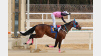 [경마]로쉬, 제39회 스포츠서울배(L) 12마신 차 압승…데뷔 후 파죽의 4연승