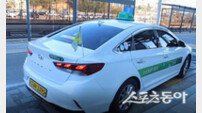 강릉 외국인 관광택시 ‘역대 최대’ 실적… 강원도 이용객 79% 점유