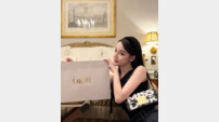 中 톱스타 디리러바, 두바이에 24시간 발묶여 봉변