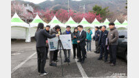 “꽃길만 걸으세요”… 광양시, 매화축제 앞두고 주차·교통 ‘현장 밀착’ 총력 점검