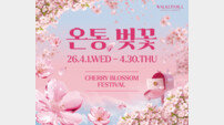 워커힐 호텔앤리조트, ‘온통, 벚꽃 페스티벌’ 실시