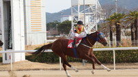 [경마]빈체로카발로, 제20회 부산일보배(G3) 우승…2년 연속 트로피