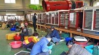 영천시, ‘과수 꽃가루 은행’ 가동… 꿀벌 실종·냉해 위기 정면 돌파