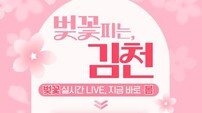 김천시 “김천 벚꽃, 안방에서 실시간으로 확인하세요”… ‘실시간 Live’ 서비스 운영