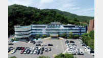고령군, ‘청년 창업자 임차료’ 최대 200만 원 지원… 경영난 해소 앞장