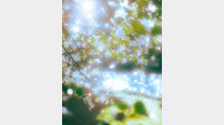 ‘Spring, You, ? 커밍순’ 거미, 올 봄 새로운 프로젝트로 돌아온다