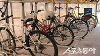 대구 도심을 가르는 ‘벚꽃 라이딩’ 열풍… 페달 밟으며 즐기는 봄의 절정