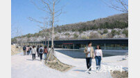 경주 동궁원 ‘라원’, 개장 3일 만에 7천명 몰려… 체험형 정원 ‘흥행 조짐’
