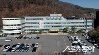 고령군, ‘대가야 자율상권구역’ 최종 승인…지역 상권 부활 신호탄