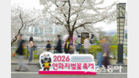 30만 상춘객 찾은 김천 연화지, 벚꽃축제로 ‘대박’