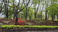 순천시  왕조1동, “꽃길만 걷게 해줄게”…주민 참여 봄꽃 9000본 식재