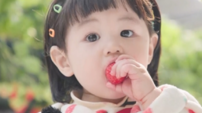 ‘딸기왕자’ 하루, 따자마자 입으로…“배가 딸기로 가득” (슈돌)