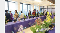 신안군, ‘2026 전국새우란대전’ 성료