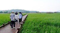 순천시 “167마리 흑두루미가 8600마리로” 기후환경 기자단 순천만 답사