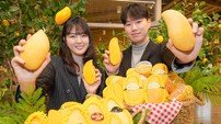 현대백화점 “달콤한 태국 망고 만나요”