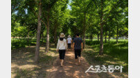 경주시, 황성문화공원 맨발둘레길 본격 개장