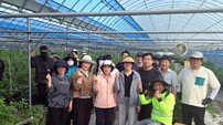 장흥군 “농번기 시름 덜어드려요” 블루베리 농가 일손 지원