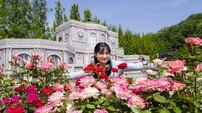 에버랜드 장미축제 개막, ‘호텔 로로티’로 변신