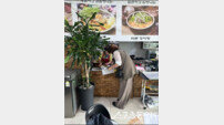 영광군, 관광객 증가 대비 음식점 자율위생 점검 실시