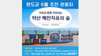 완도군 “걷고 쉬고 치유한다” 6월 추천 관광지로 ‘약산 해안숲’ 선정