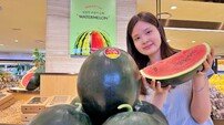 롯데百, “13브릭스 ‘고창 명품 수박’ 맛보세요”