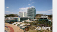 민선9기 포항시장직 인수위 10일 출범…민생 회복·미래 성장동력 확보 시동