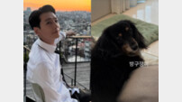 ‘정경호-최수영’ 이름 딴 호영이…결별 당일 근황 눈길 [SD이슈]