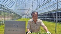 전남도 “잡초라 불리던 병풀을 효자 작물로” 6월 친환경농산물 선정