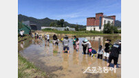 장미 향기 품고 논밭 뛰고…곡성군, 오감 만족 체험 관광 ‘눈길’