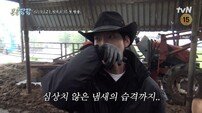 도경수 “우리 프로 밥친구 아니었어요?”…끝없는 우분 지옥 (콩콩팜팜)
