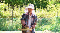 임영웅, 톱 들고 목공 도전…산골남 변신 완료 (산골총각 영웅)