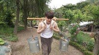 박서진 “그냥 돼지로 살란다” 속세 끊고 영월 산골행 (살림남2)