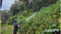 영암군, 칡덩굴 집중 방제 돌입…산림·도로환경 보호 나선다